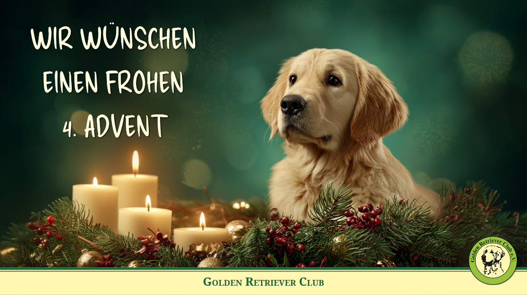 Golden Retriever Welpem im GRC